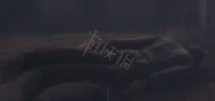 霍格沃茨之遗统统石化咒语学习攻略-霍格沃茨之遗统统石化咒语怎么用