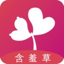 哇TV影视电视盒子版