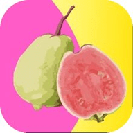 998影视播放器下载安装