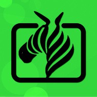 桃子视频在线直播高清下载