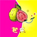 西瓜直播