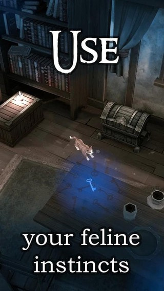 小偷流浪猫3